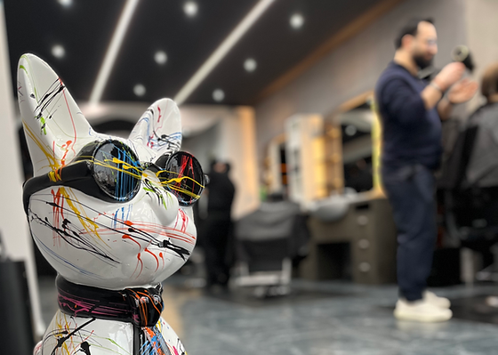 M&H Studio - Salon moderne